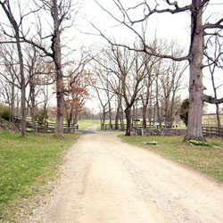 Entrance to Throwleigh Farm
