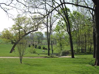 Entrance to Throwleigh Farm