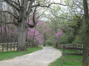 Entrance to Throwleigh Farm